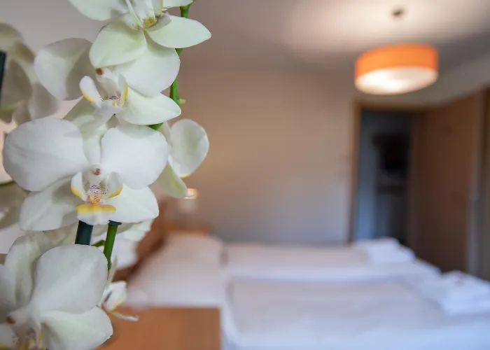 Edelweiss Appartement Riederalp