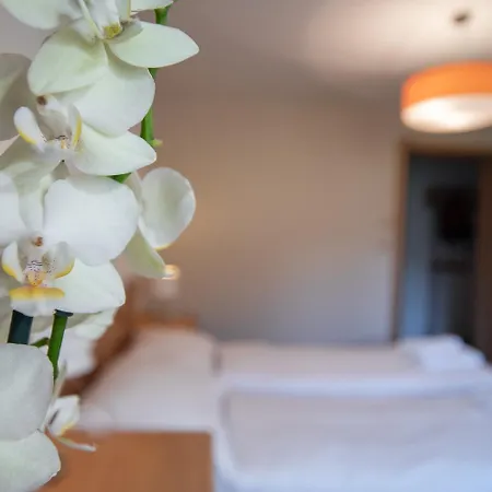 Edelweiss Apartment Riederalp